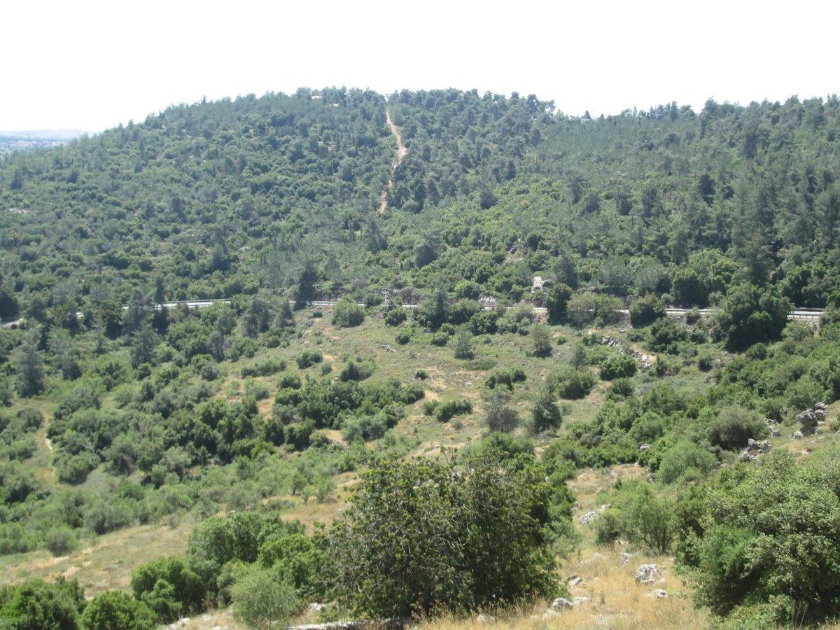 טיול מרהיב להרי יהודה דרך עדשת המצלמה