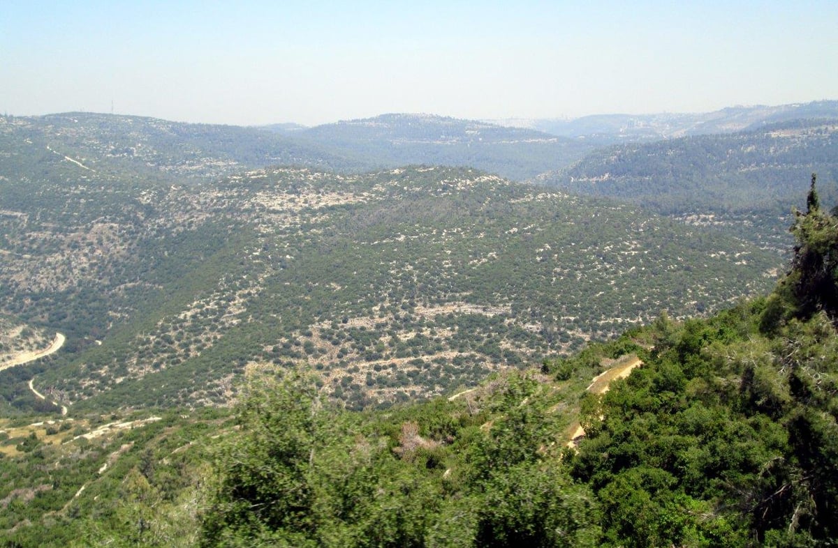 טיול מרהיב להרי יהודה דרך עדשת המצלמה