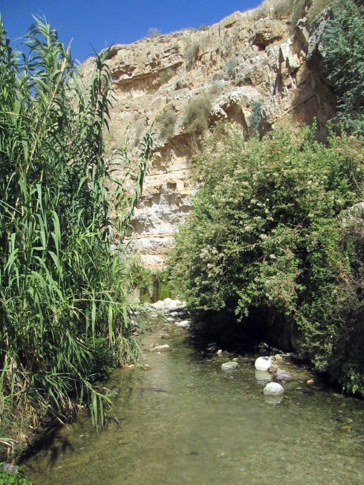 טיול מרהיב להרי יהודה דרך עדשת המצלמה