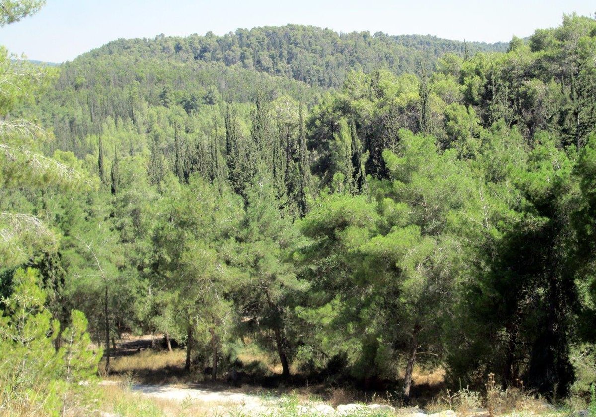 טיול מרהיב להרי יהודה דרך עדשת המצלמה