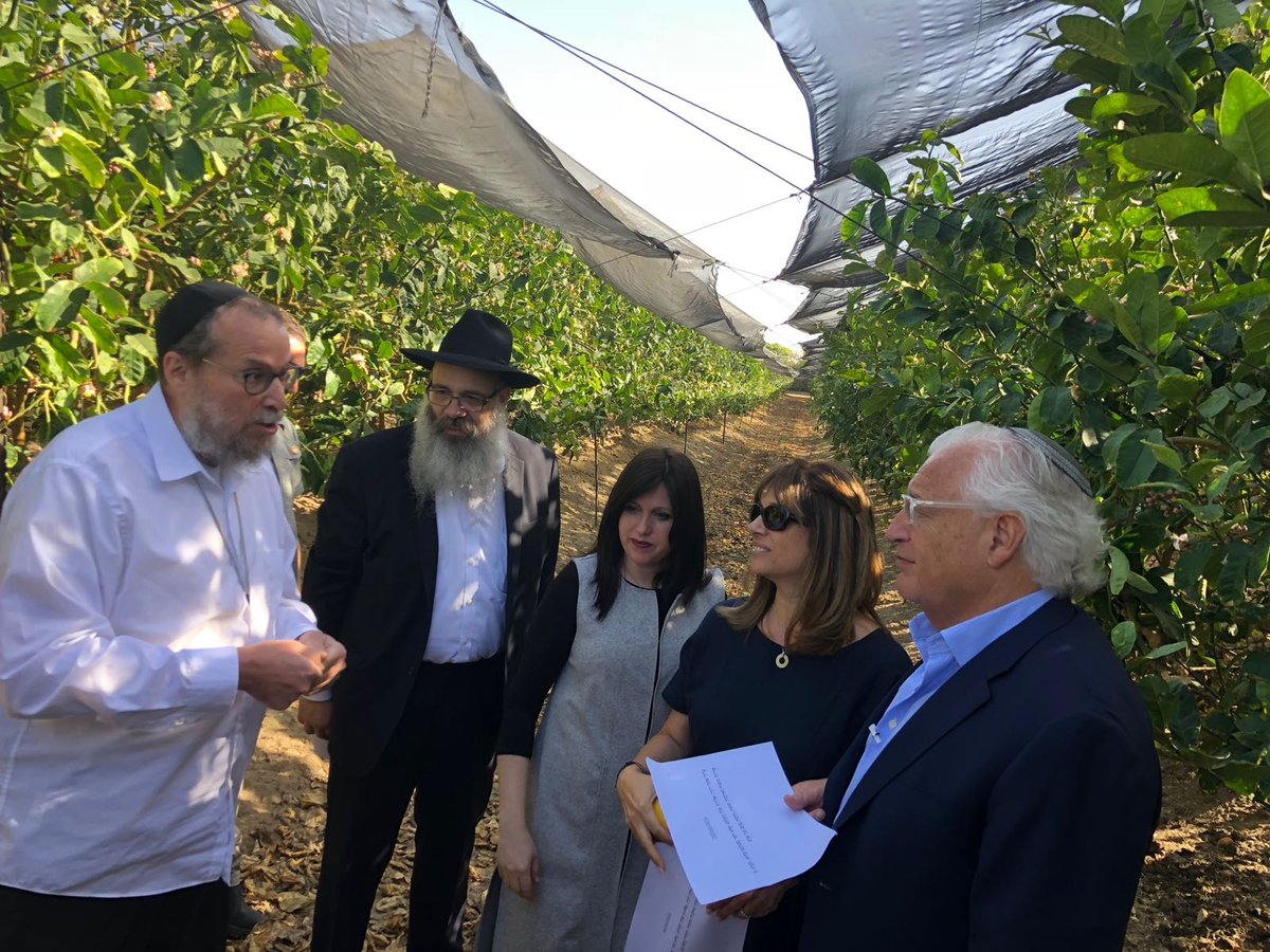 שגריר ארה"ב דייויד פרידמן אפה מצות בכפר החרדי • צפו