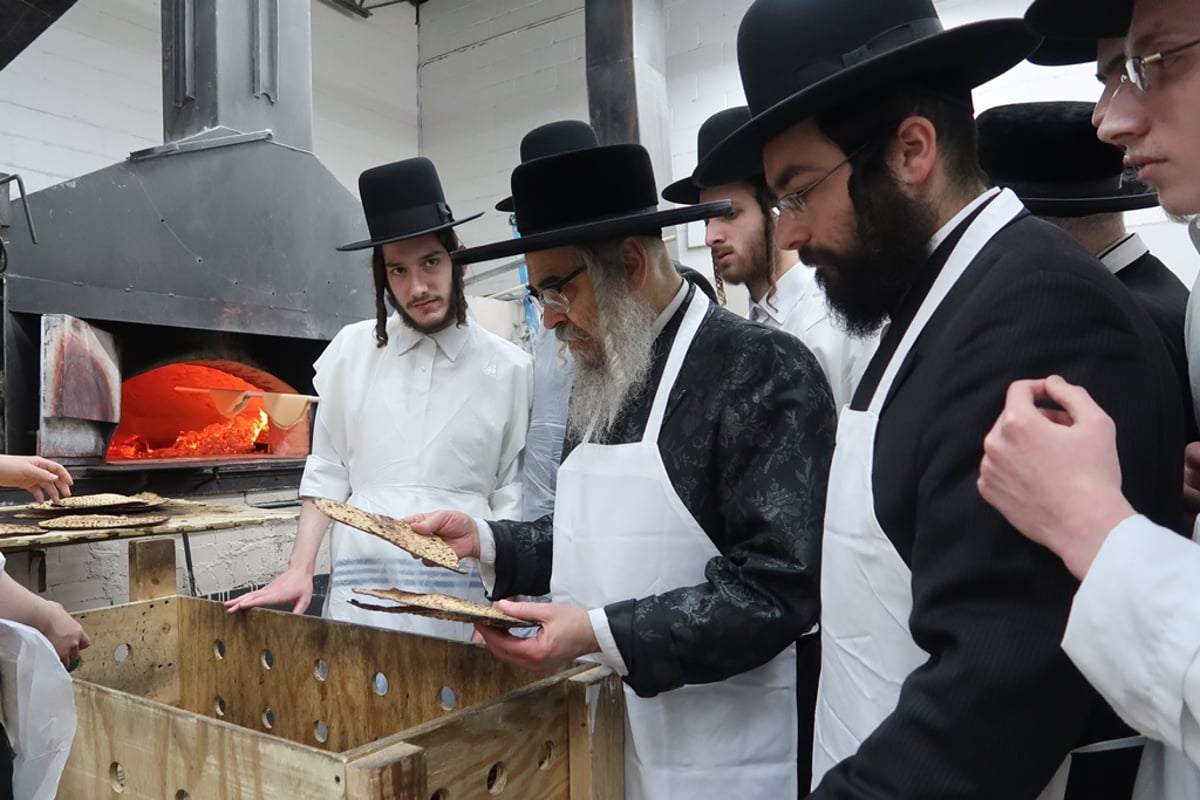 הרבי מסאטמר בטחינת חיטים ואפיית מצות • תיעוד