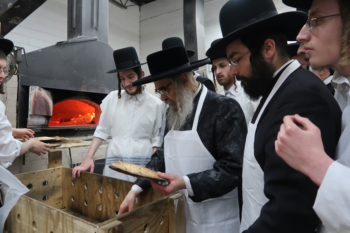 הרבי מסאטמר בטחינת חיטים ואפיית מצות • תיעוד