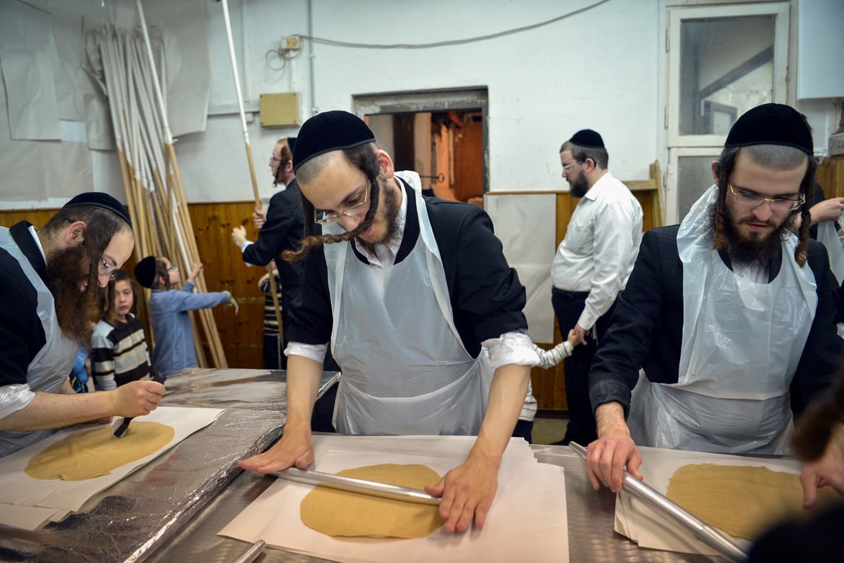 תיעוד מיוחד: החסידים מכינים מצות לפסח