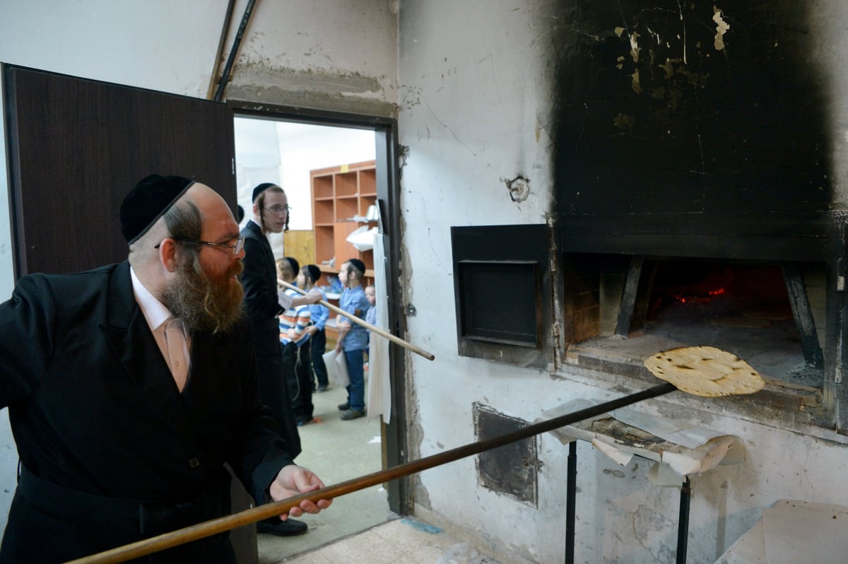 תיעוד מיוחד: החסידים מכינים מצות לפסח