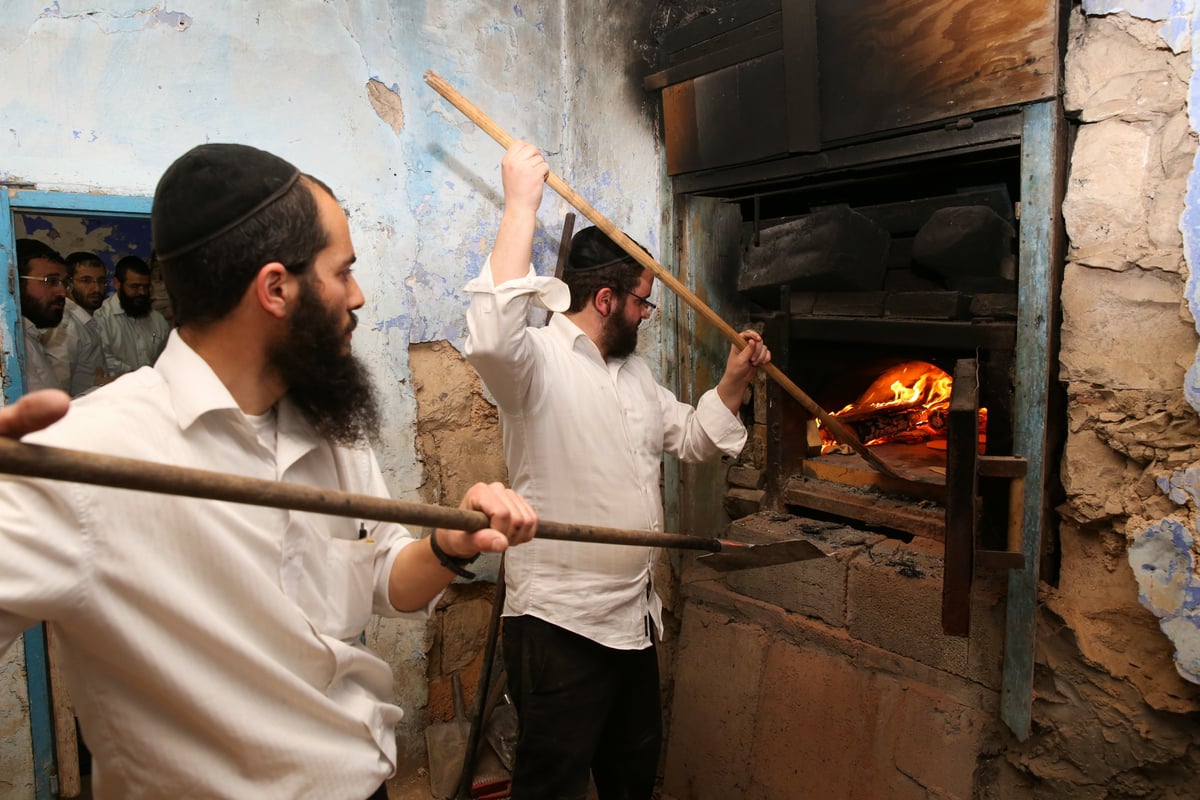 גלריה מרהיבה: כך מכינים מצות בצפת