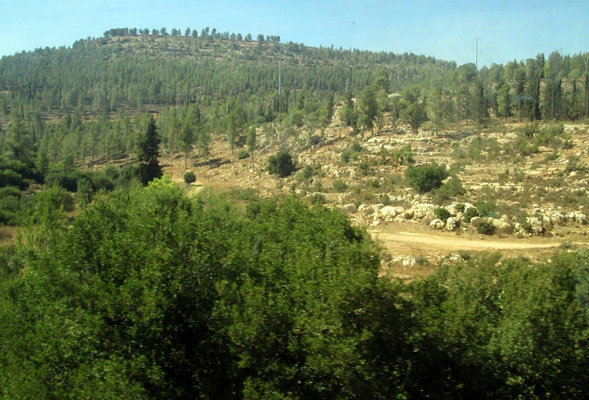 טיול דרך עדשת המצלמה להרי יהודה