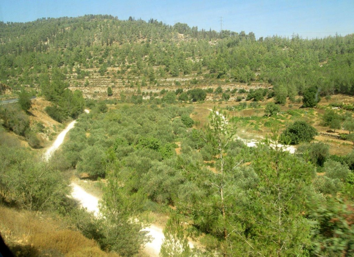 טיול דרך עדשת המצלמה להרי יהודה