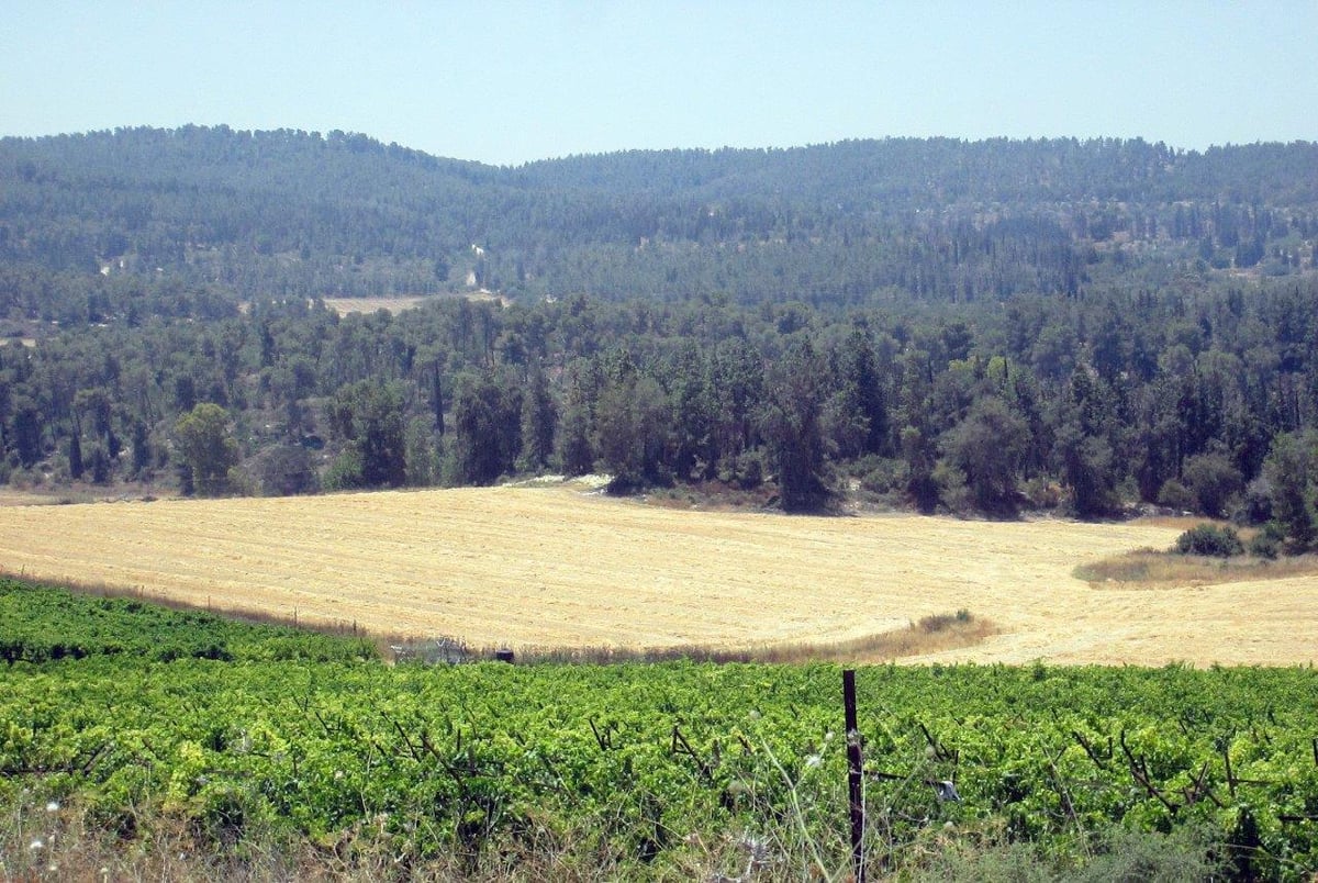 טיול דרך עדשת המצלמה להרי יהודה