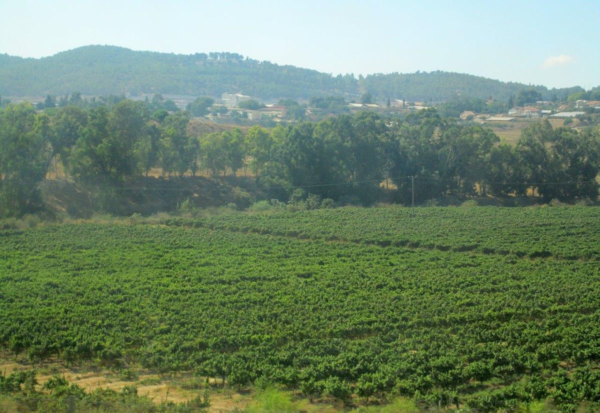 טיול דרך עדשת המצלמה להרי יהודה