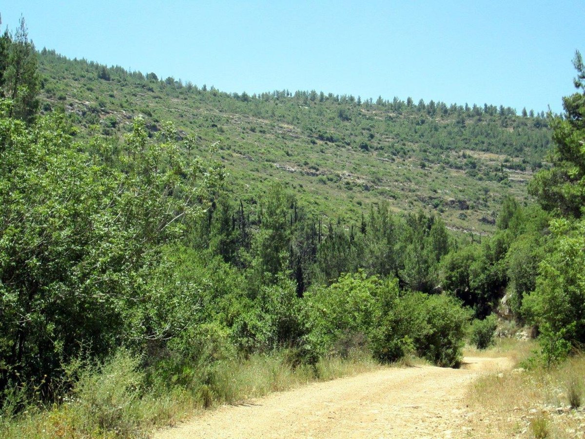 טיול דרך עדשת המצלמה להרי יהודה