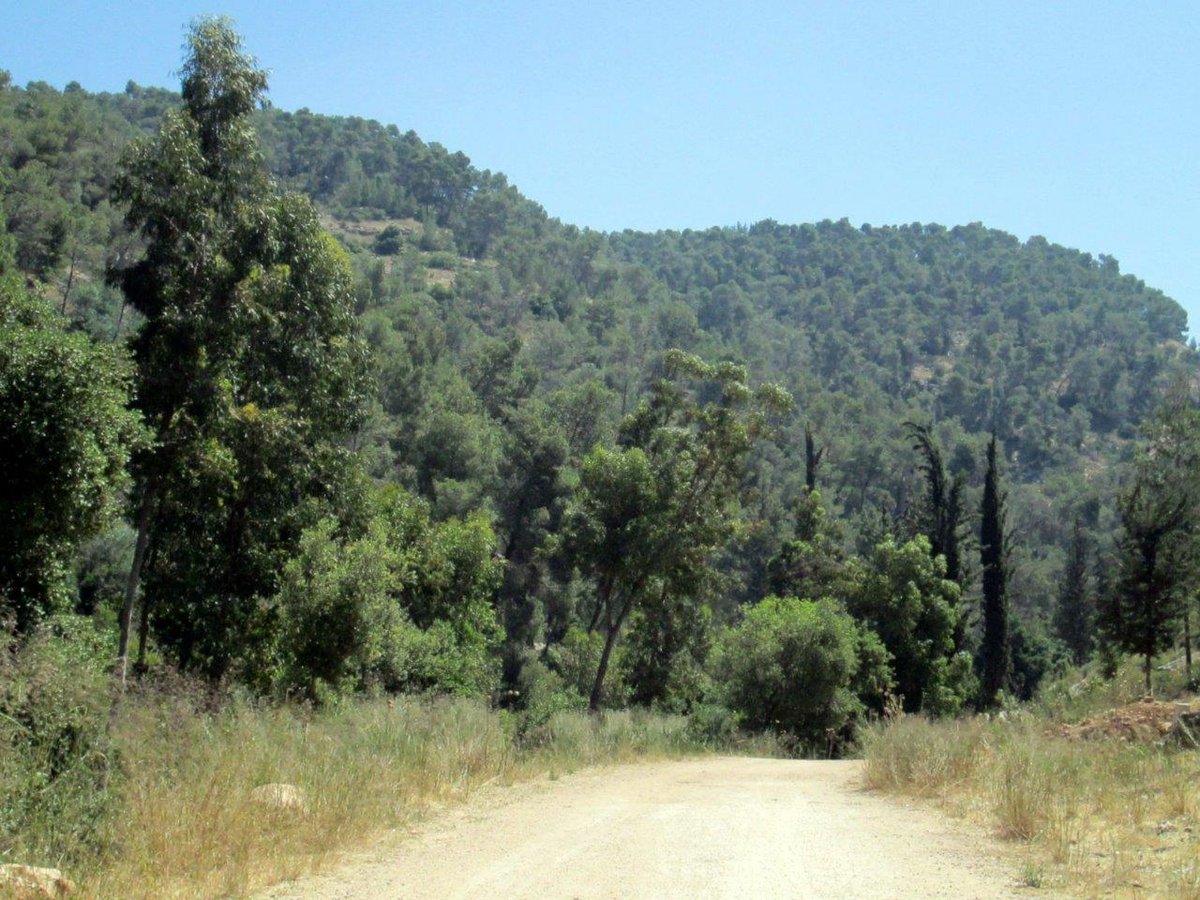 טיול דרך עדשת המצלמה להרי יהודה