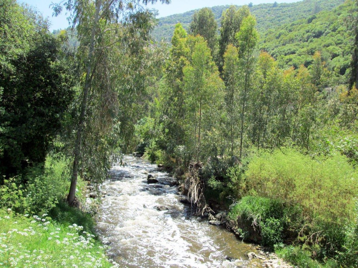 טיול דרך עדשת המצלמה להרי יהודה