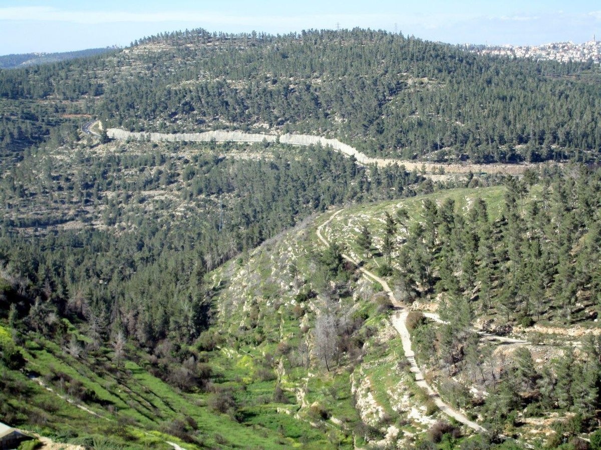 טיול דרך עדשת המצלמה להרי יהודה