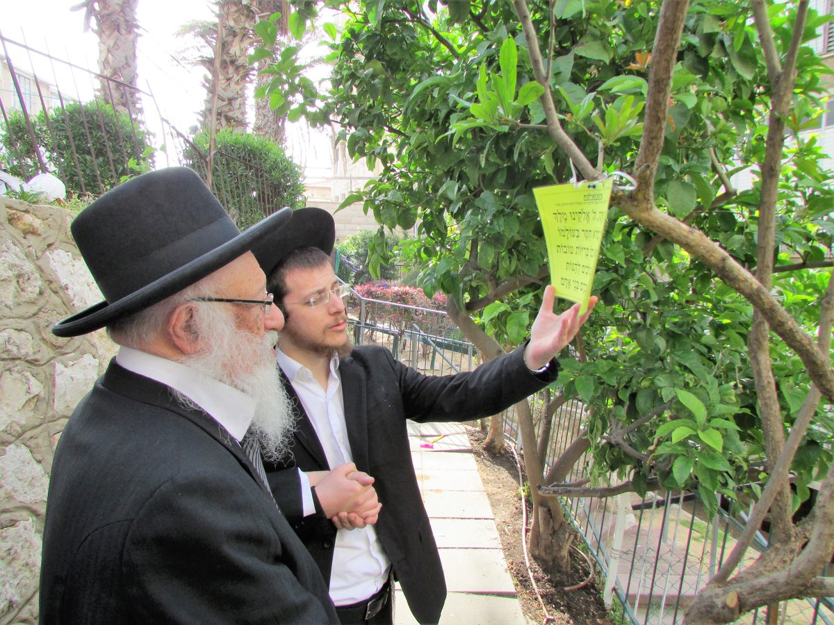 תמונות: הגרב"ד פוברסקי בברכת האילנות