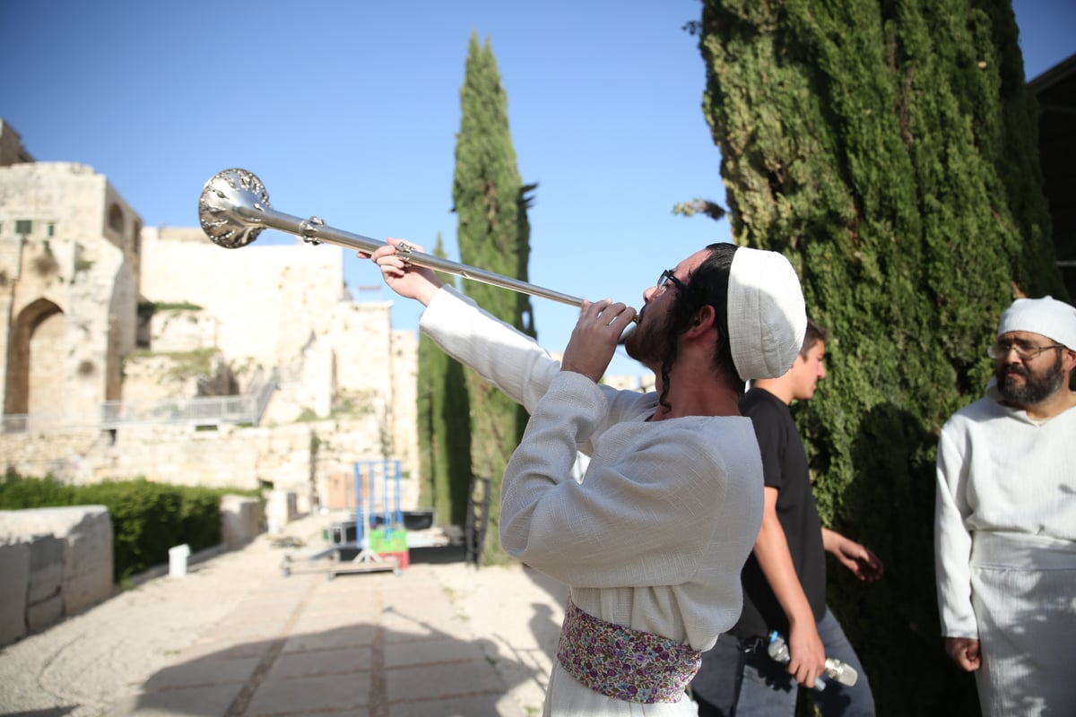 תיעוד מיוחד: כך הוקרב קרבן פסח • גלריה