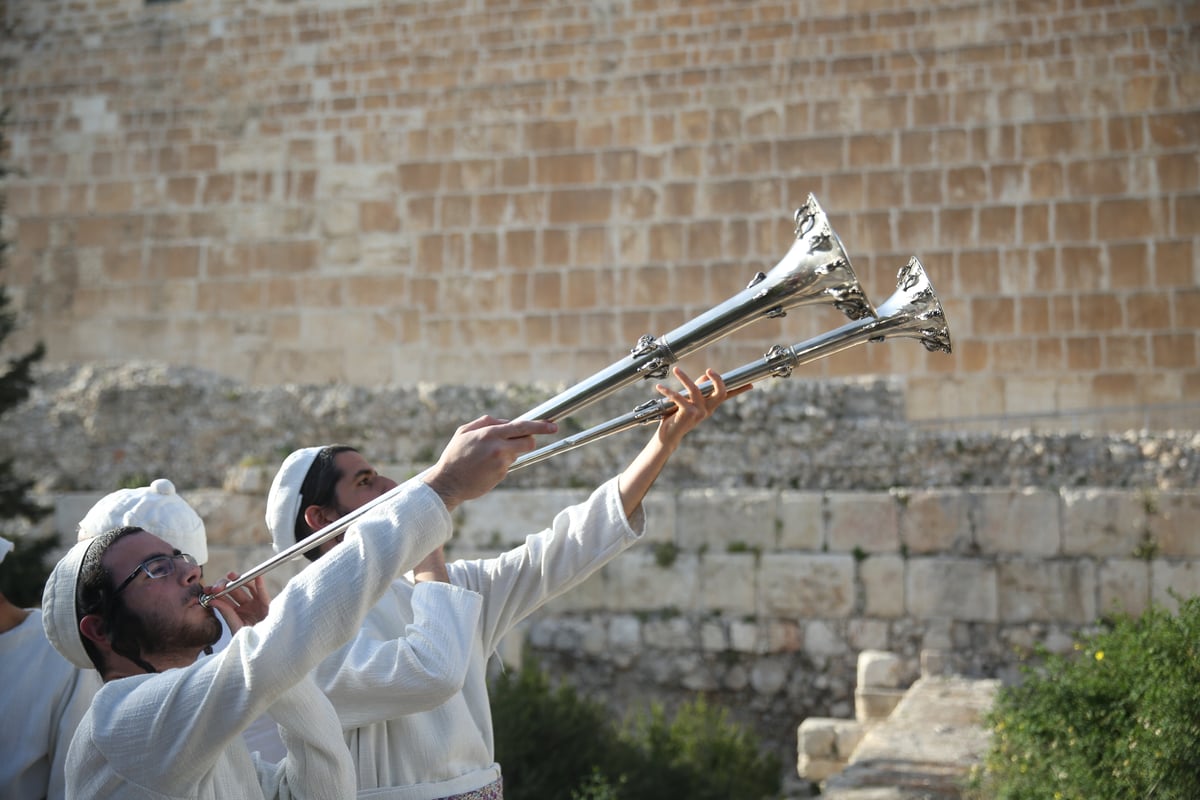 תיעוד מיוחד: כך הוקרב קרבן פסח • גלריה