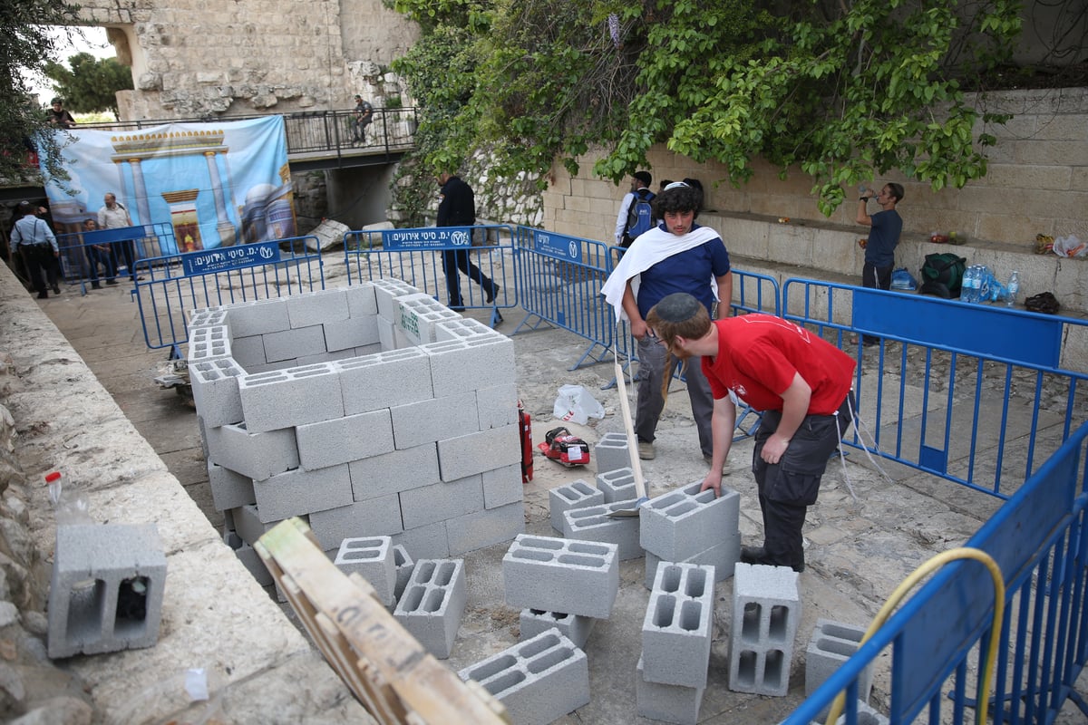 תיעוד מיוחד: כך הוקרב קרבן פסח • גלריה