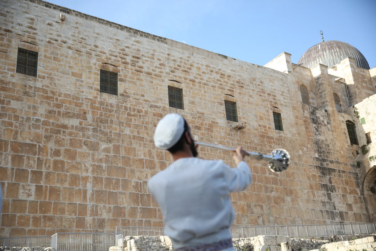 תיעוד מיוחד: כך הוקרב קרבן פסח • גלריה