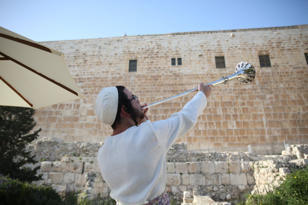 תיעוד מיוחד: כך הוקרב קרבן פסח • גלריה