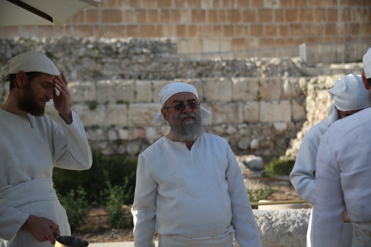 תיעוד מיוחד: כך הוקרב קרבן פסח • גלריה