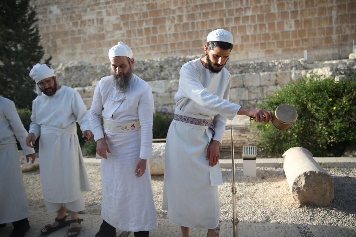 תיעוד מיוחד: כך הוקרב קרבן פסח • גלריה