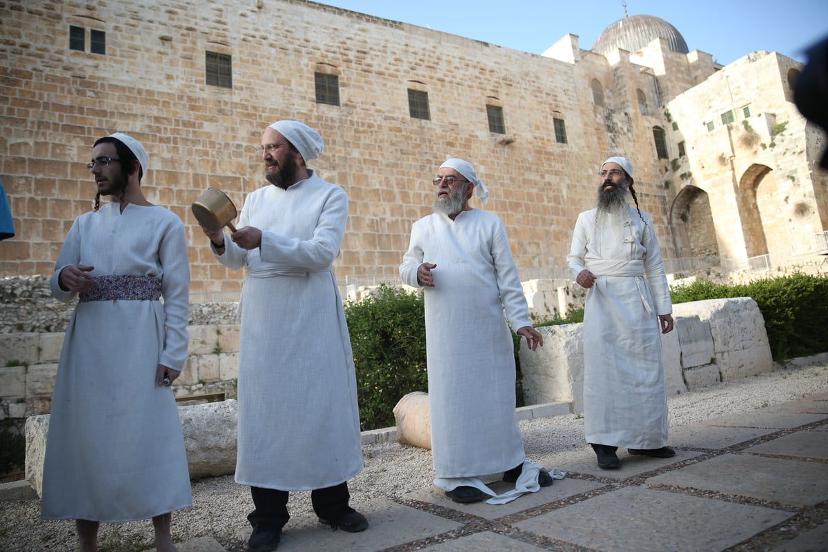 תיעוד מיוחד: כך הוקרב קרבן פסח • גלריה