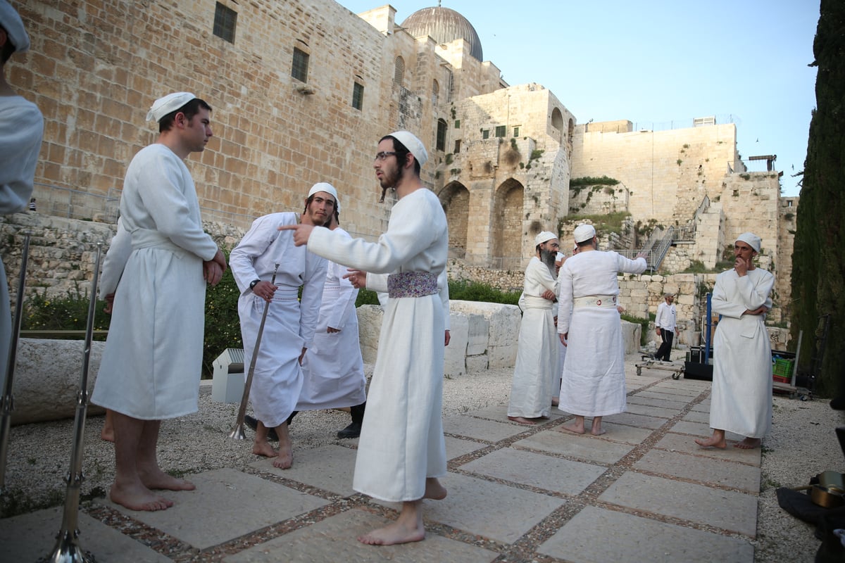 תיעוד מיוחד: כך הוקרב קרבן פסח • גלריה