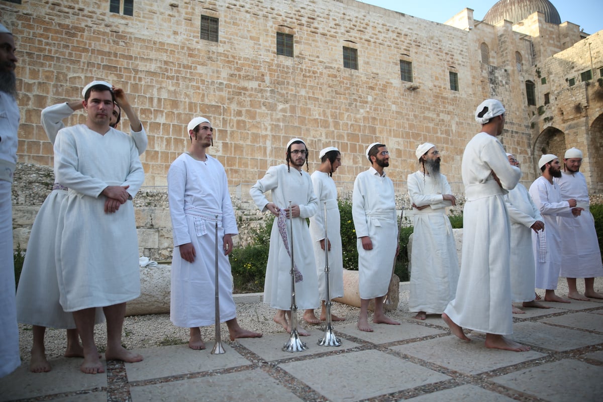 תיעוד מיוחד: כך הוקרב קרבן פסח • גלריה