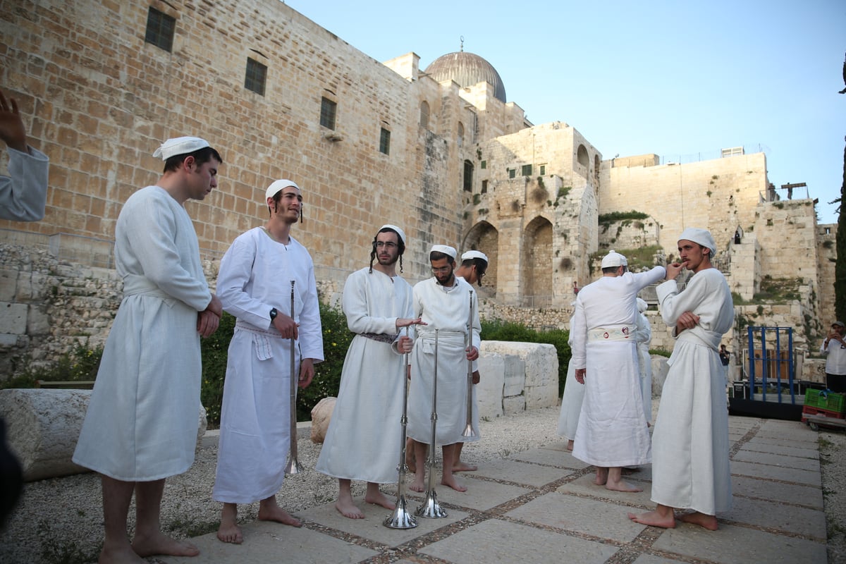 תיעוד מיוחד: כך הוקרב קרבן פסח • גלריה