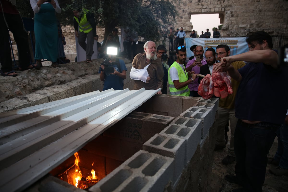 תיעוד מיוחד: כך הוקרב קרבן פסח • גלריה