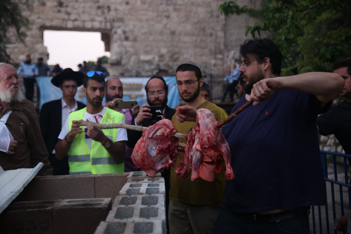 תיעוד מיוחד: כך הוקרב קרבן פסח • גלריה