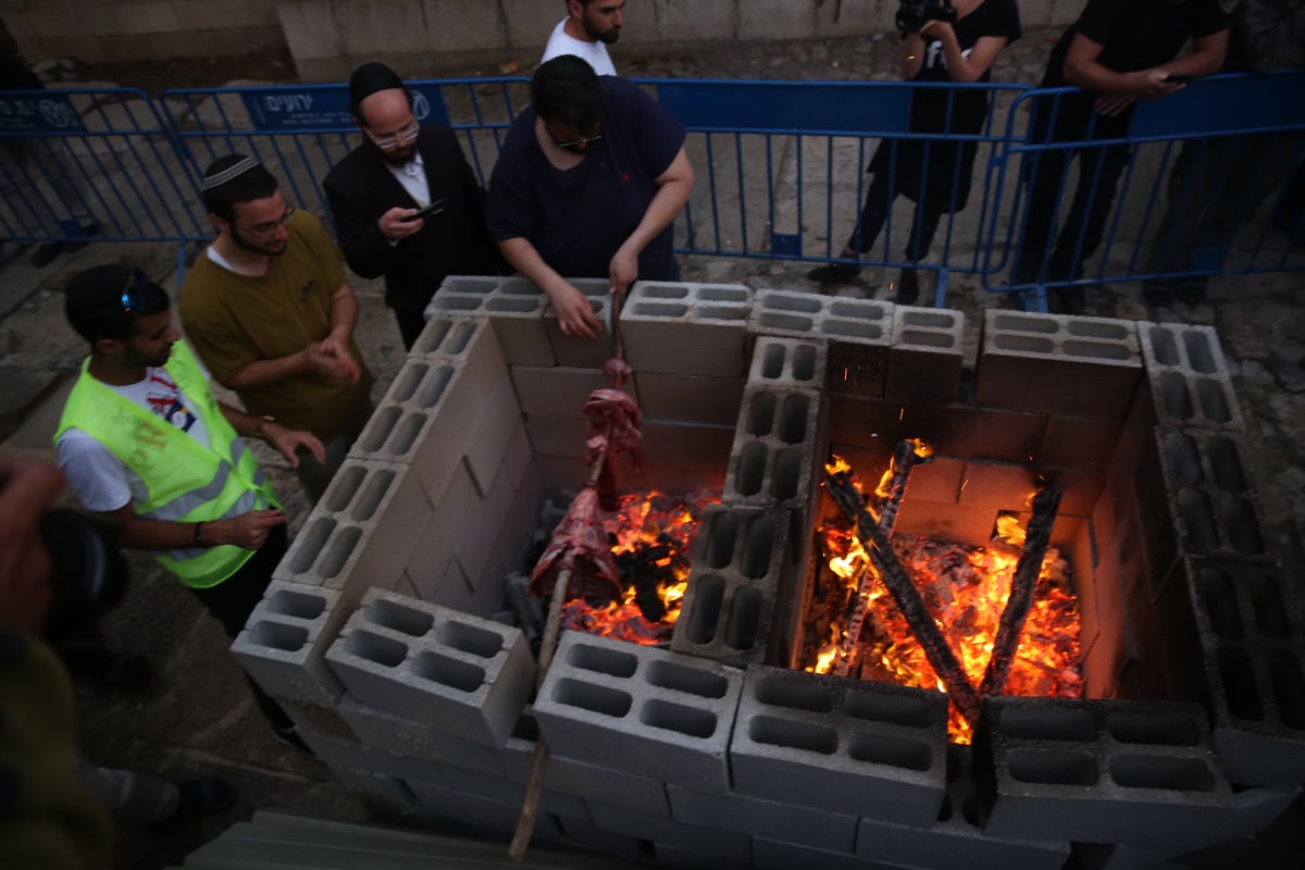 תיעוד מיוחד: כך הוקרב קרבן פסח • גלריה