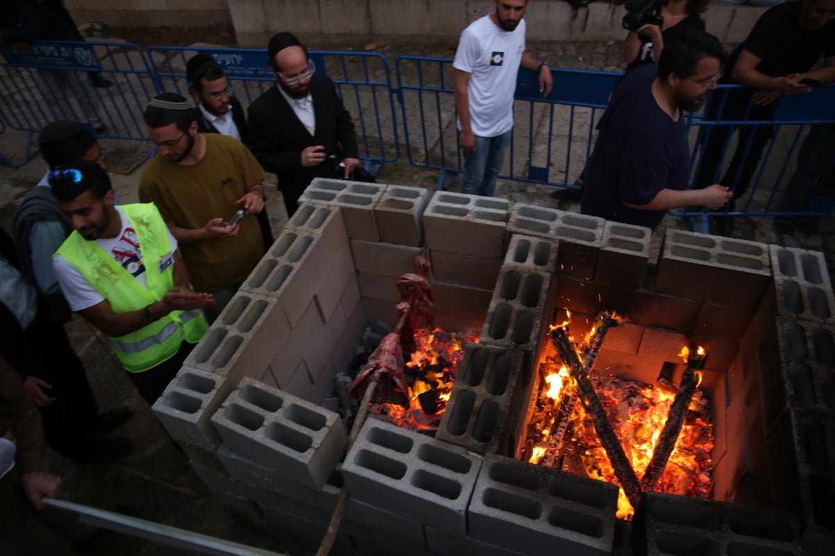 תיעוד מיוחד: כך הוקרב קרבן פסח • גלריה