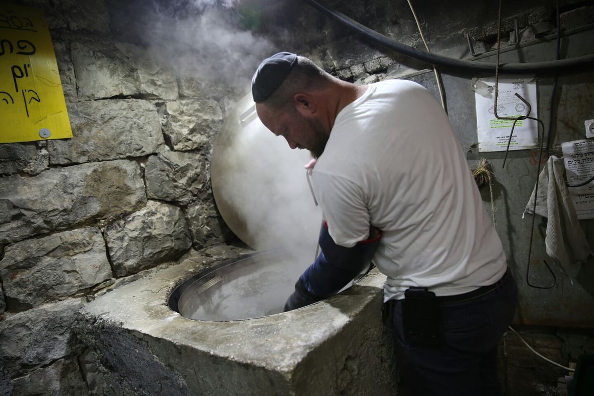 גלריה לוהטת: הירושלמים מגעילים כלים