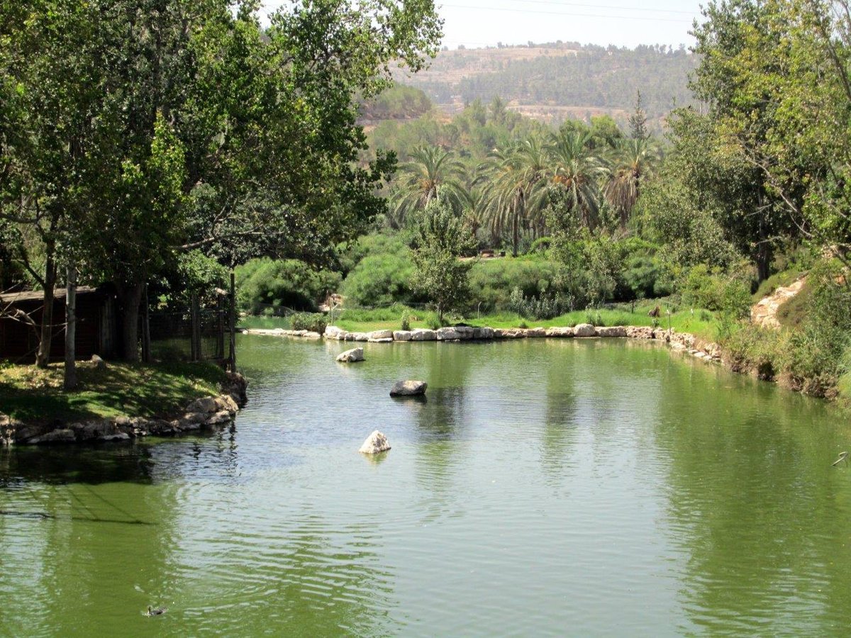 רגע לפני החג: טיול לנופיה של ירושלים