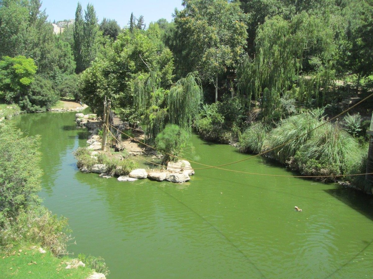 רגע לפני החג: טיול לנופיה של ירושלים