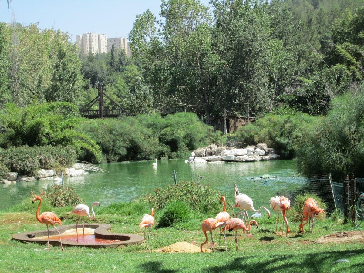 רגע לפני החג: טיול לנופיה של ירושלים