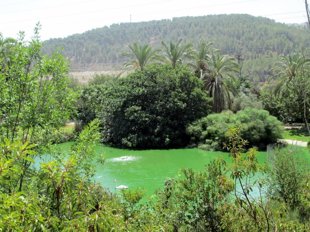 רגע לפני החג: טיול לנופיה של ירושלים