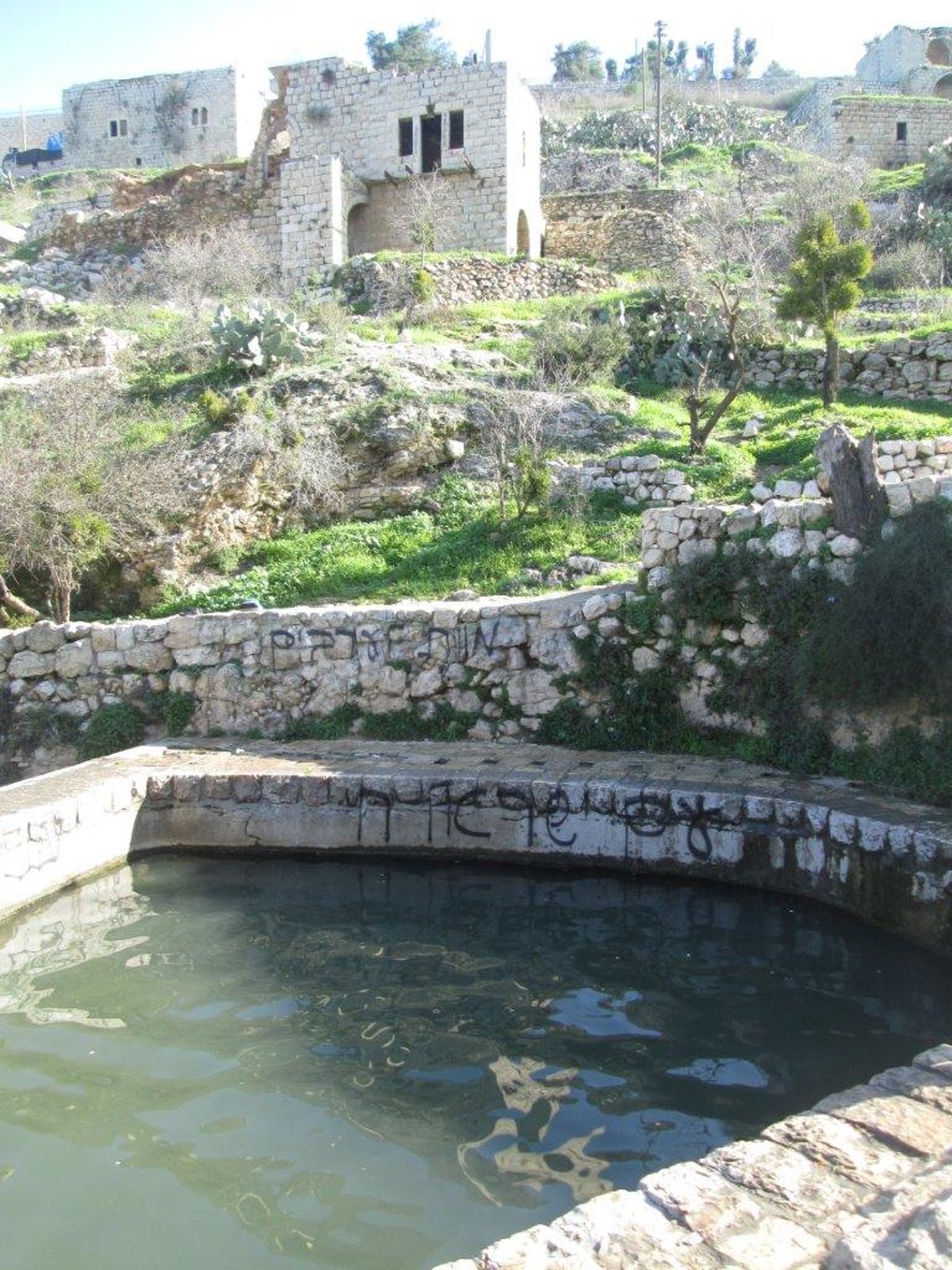 רגע לפני החג: טיול לנופיה של ירושלים