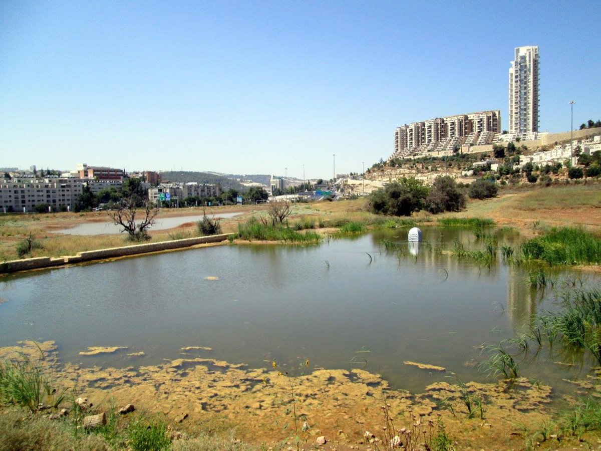 רגע לפני החג: טיול לנופיה של ירושלים