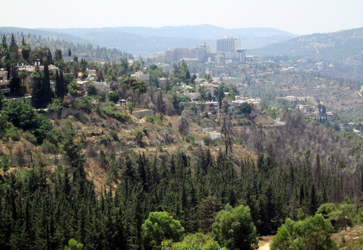 רגע לפני החג: טיול לנופיה של ירושלים