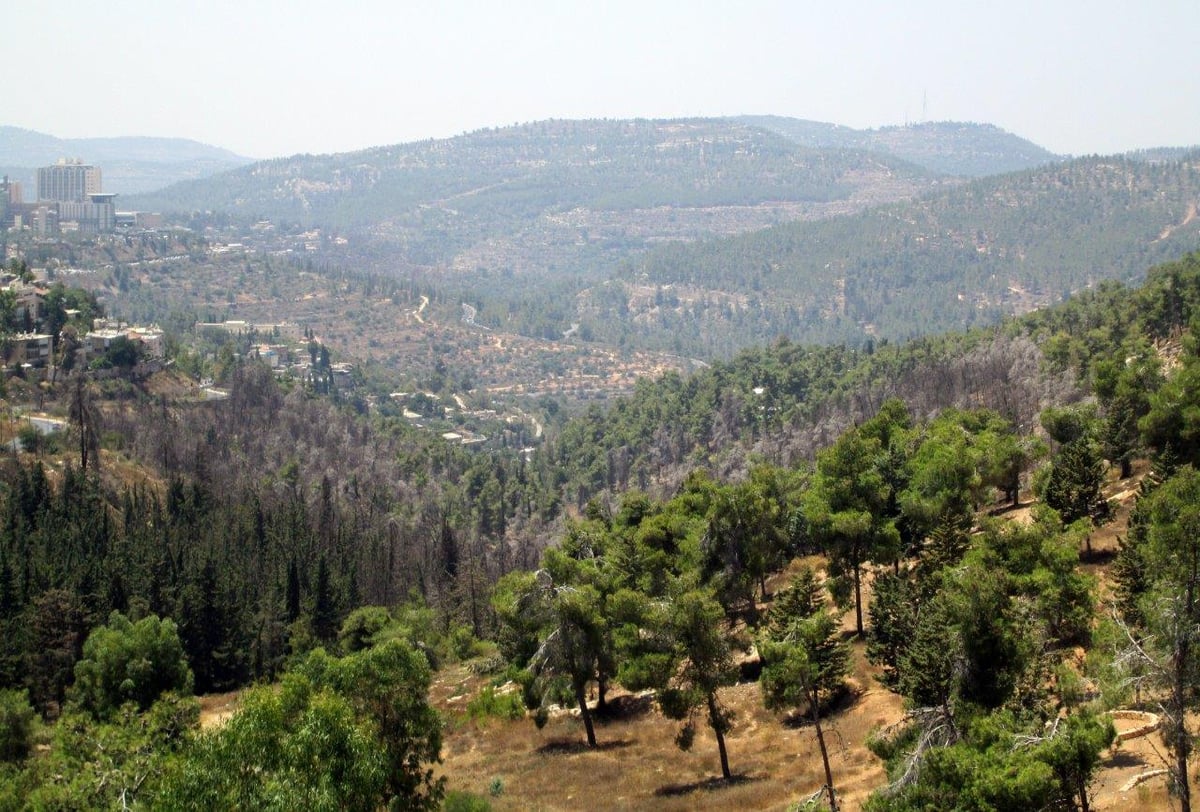 רגע לפני החג: טיול לנופיה של ירושלים