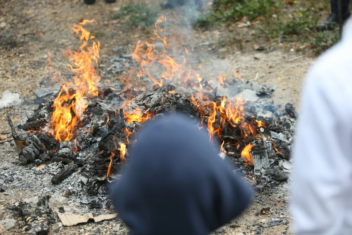 גלריה: כך שרפו את החמץ בכרמיאל • צפו