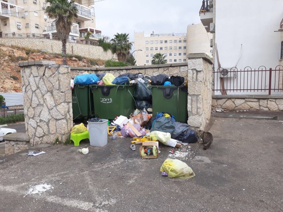 מודיעין עילית: כמויות של אשפה ברחובות