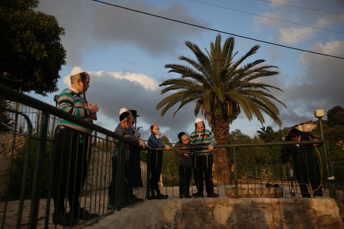 שאיבת 'מים שלנו' במעיין מטה - צפו בתיעוד