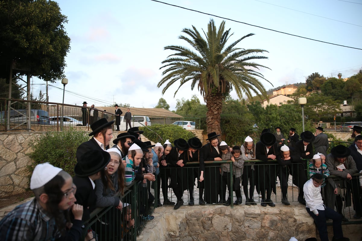 שאיבת 'מים שלנו' במעיין מטה - צפו בתיעוד