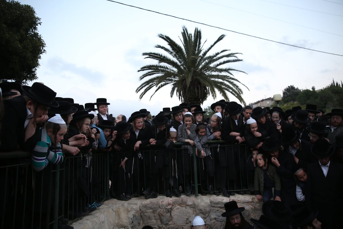 שאיבת 'מים שלנו' במעיין מטה - צפו בתיעוד