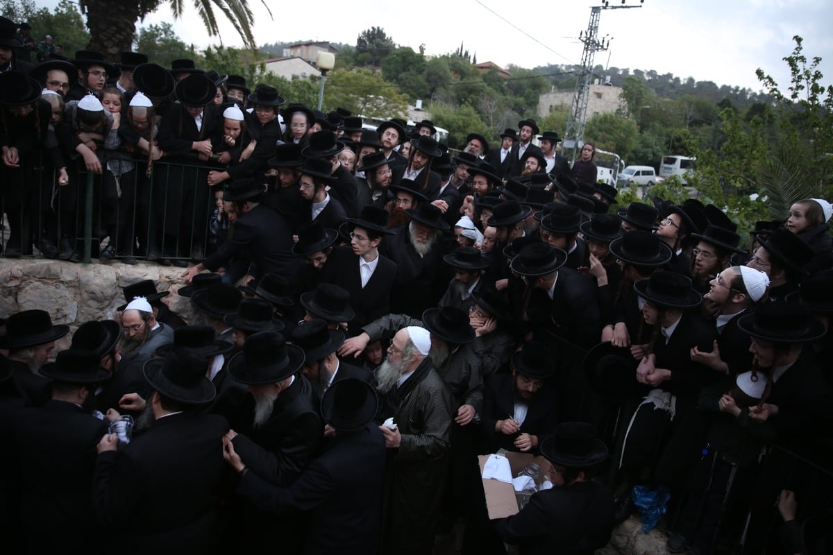 שאיבת 'מים שלנו' במעיין מטה - צפו בתיעוד