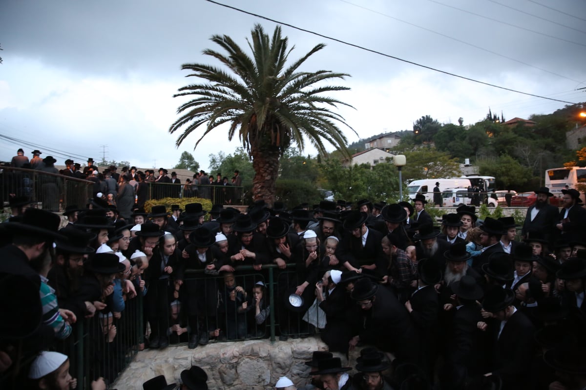 שאיבת 'מים שלנו' במעיין מטה - צפו בתיעוד